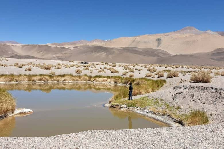 Excursión privada a Antofalla