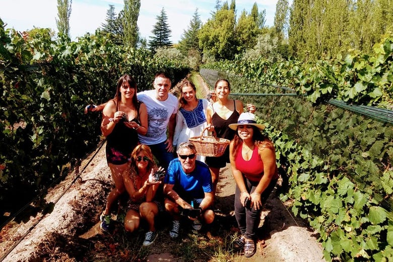 Tour de viñedos y bodegas por San Rafael