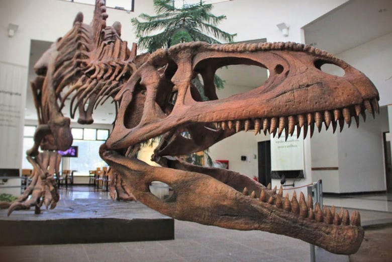 Entrada al Museo Paleontológico