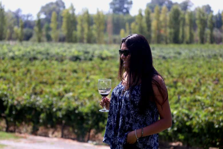 Visita a la bodega Finca Sierras Azules