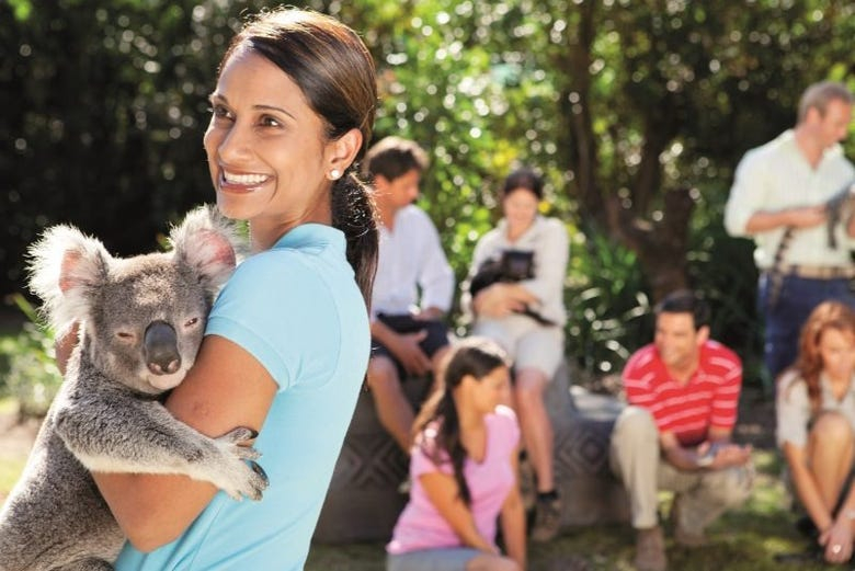 Excursión al Australia Zoo 
