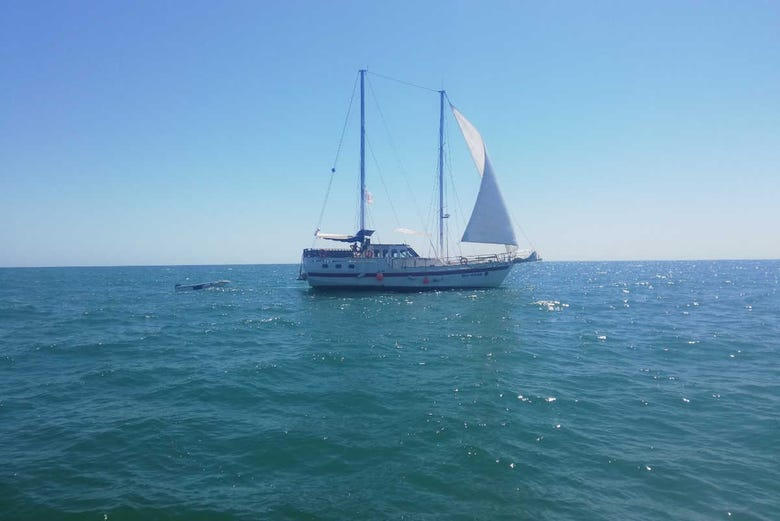 Excursión en velero por el mar Negro
