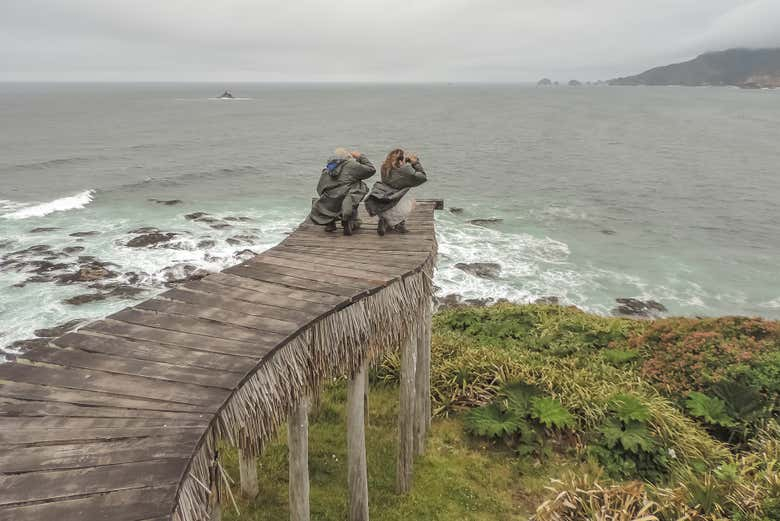 Excursión al Muelle de la Luz