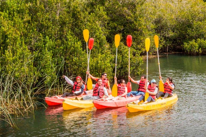 Tour en kayak por el río Negro