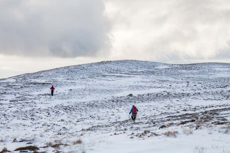 Trekking por los Dientes de Navarino