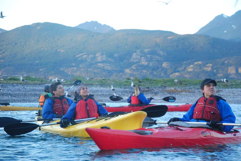 Tour en kayak por el Canal Beagle con avistamiento de lobos marinos