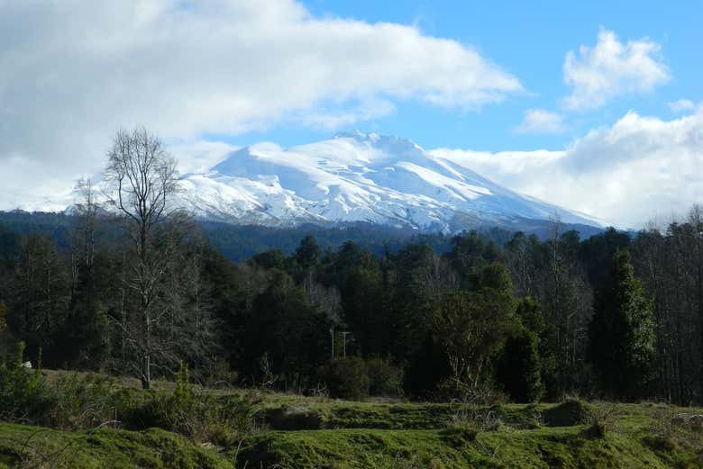 Excursión a Panguipulli, Neltume y Reserva Huilo Huilo