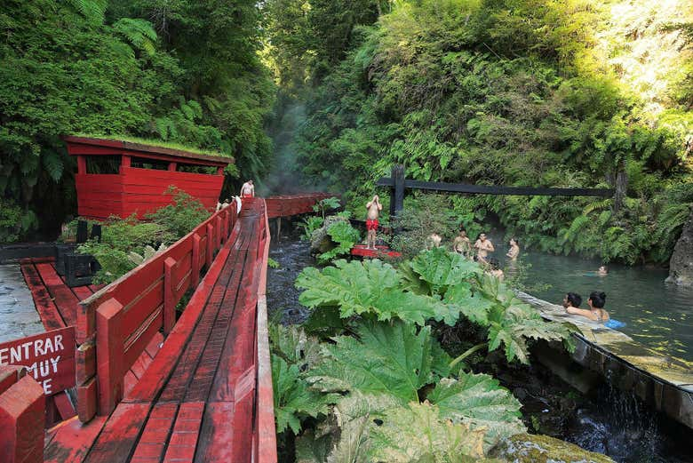 Excursión a las Termas Geométricas