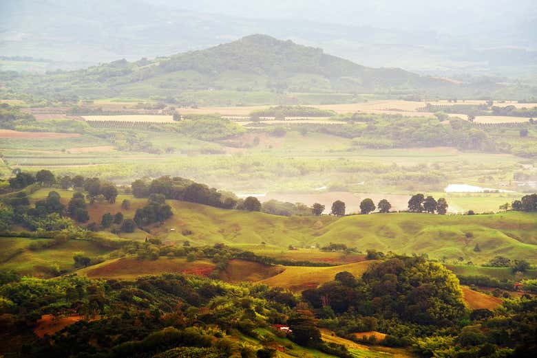 Excursión a Córdoba, Buenavista y Pijao