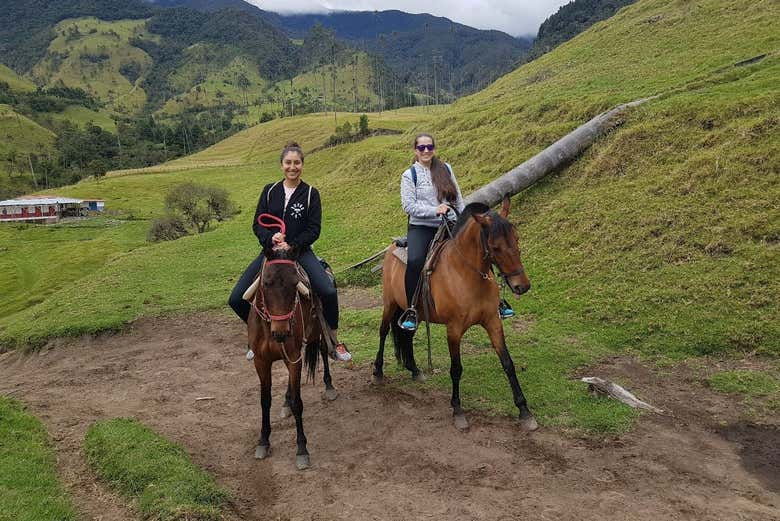 Excursión al valle de Cocora + Paseo a caballo