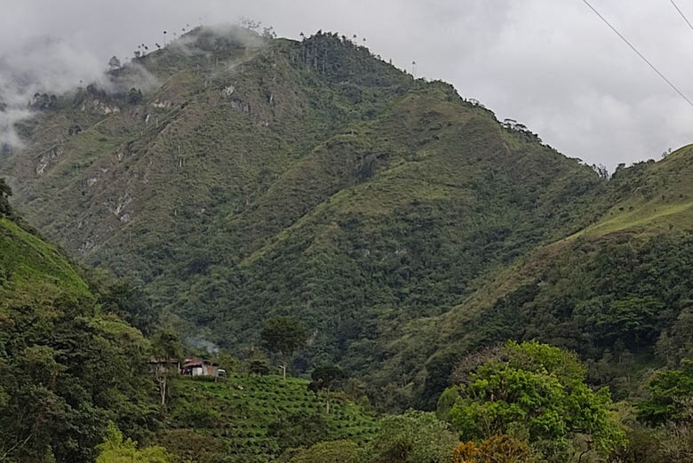 Ruta privada de trekking por el volcán Cerro Machín