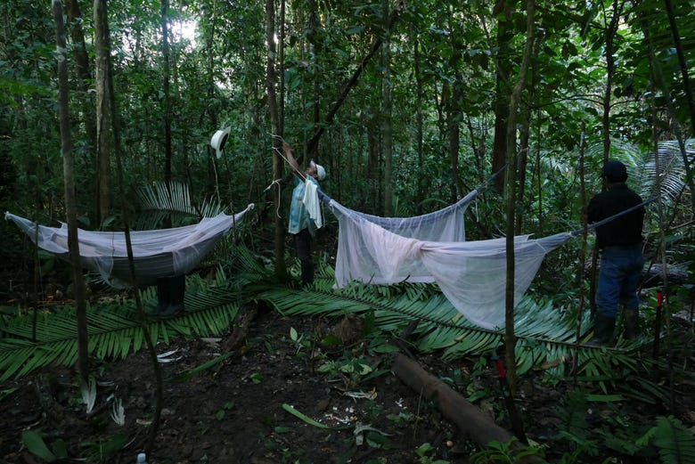 Tour de 3 días por la selva amazónica