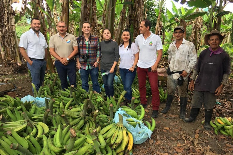 Excursión a Pereira + Visita a una finca de plátanos