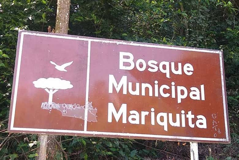 Senderismo por el Parque Mutis y el Cerro de la Cruz