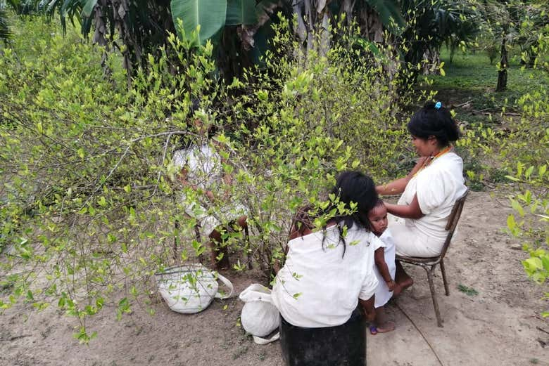 Excursión a una comunidad indígena Kogui