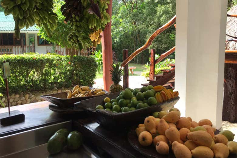 Tour gastronómico por la finca La Jorará