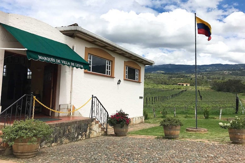 Visita al viñedo Marqués de Villa de Leyva