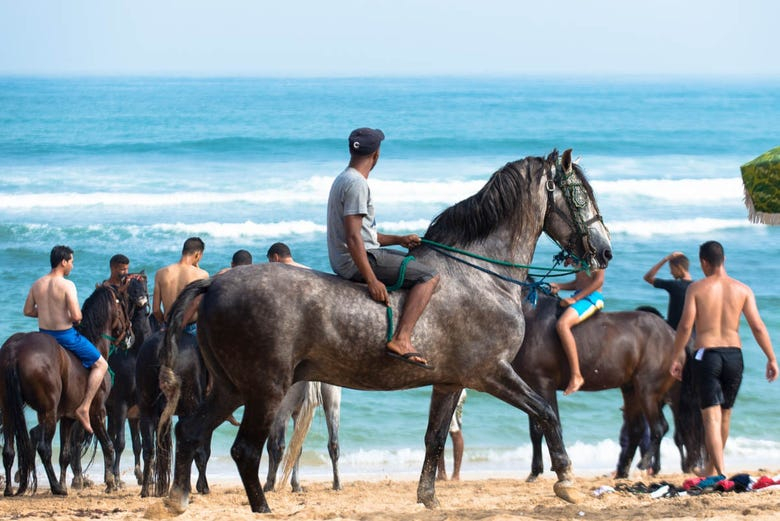 Paseo a caballo por Bahía Drake