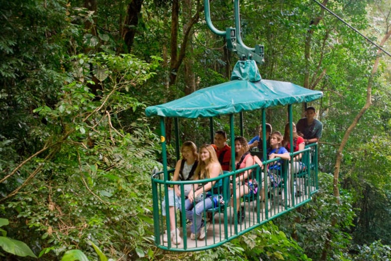 Teleférico en el Rainforest Pacific Park