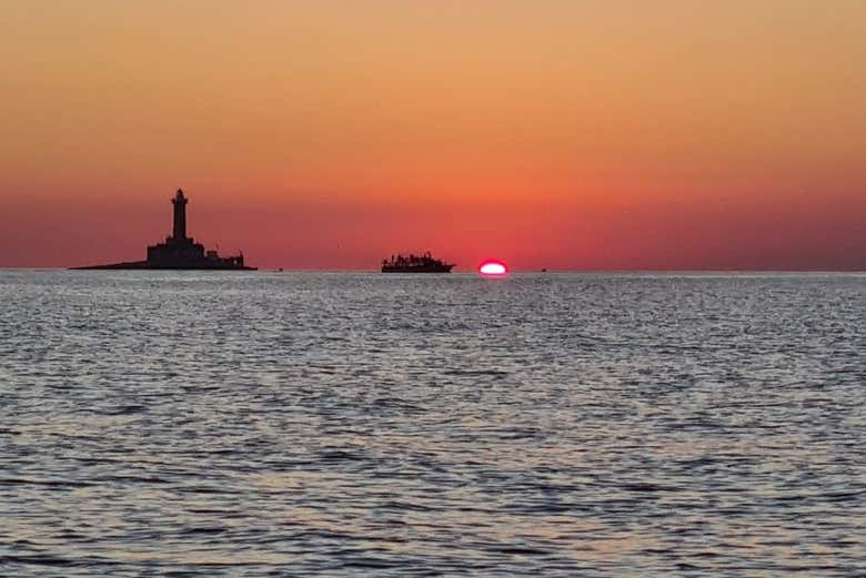 Avistamiento de delfines al atardecer