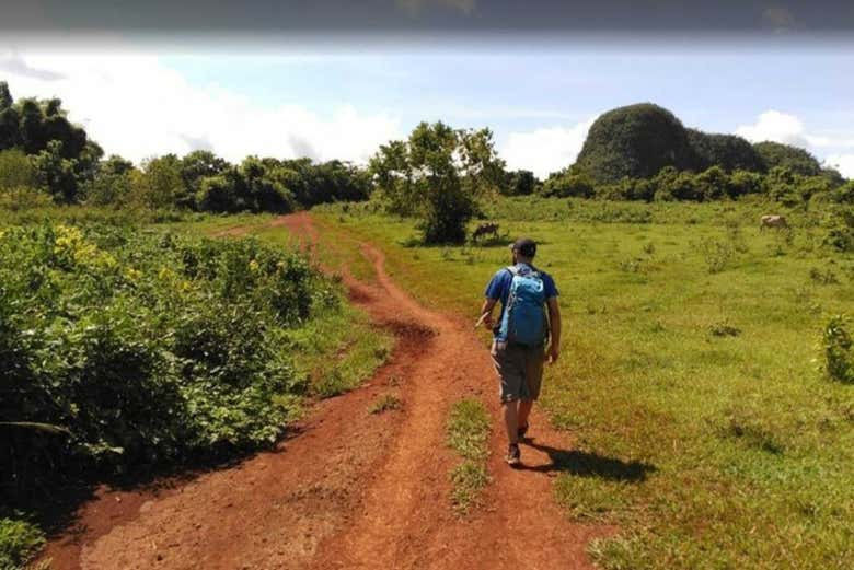 Trekking por el Valle de Viñales 