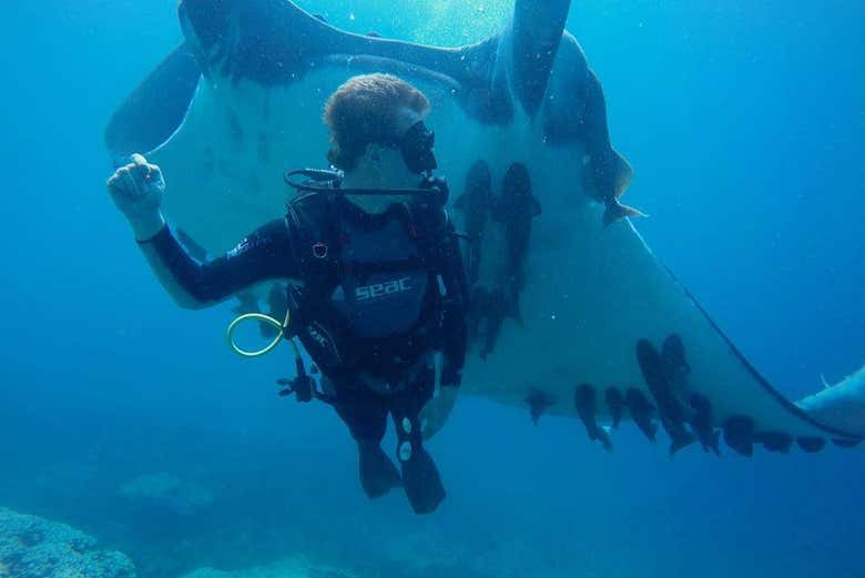 Buceo en Puerto López