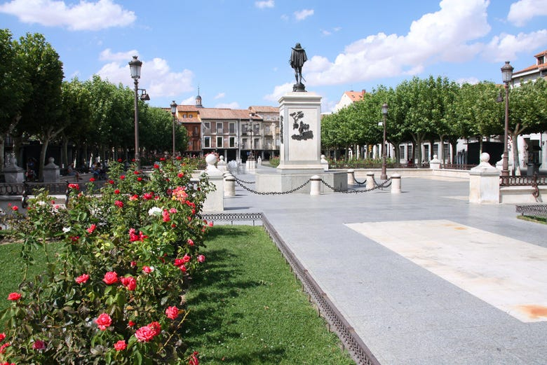 Tour privado por Alcalá de Henares