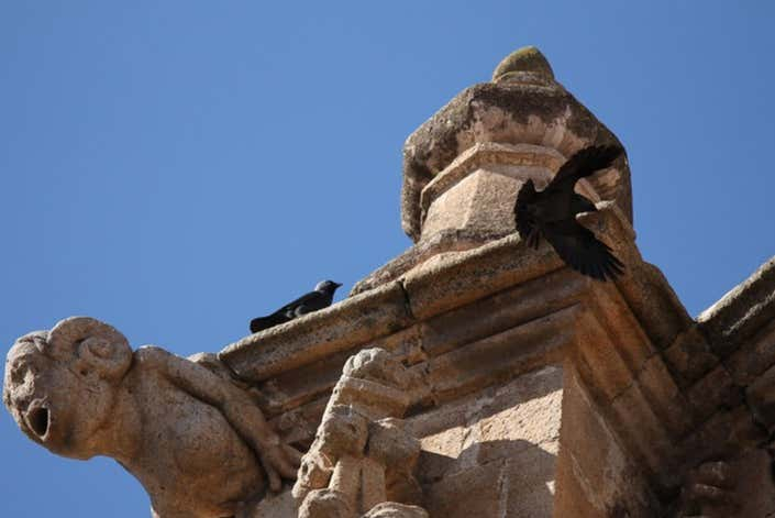 Tour privado por Almendralejo ¡Tú eliges!