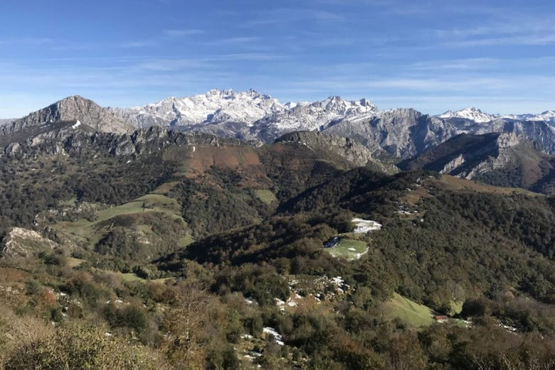 Excursión al Parque Natural de Ponga