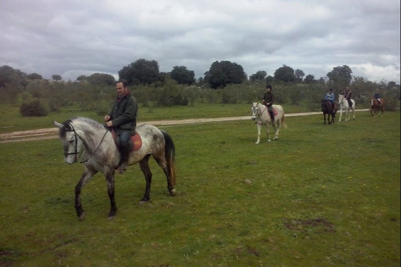 Excursión a caballo por el campo de Cáceres