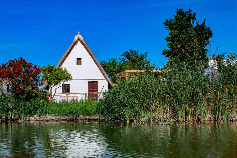 Free tour por la Albufera