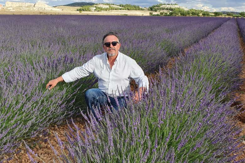 Tour de la lavanda + Molino de El Romeral