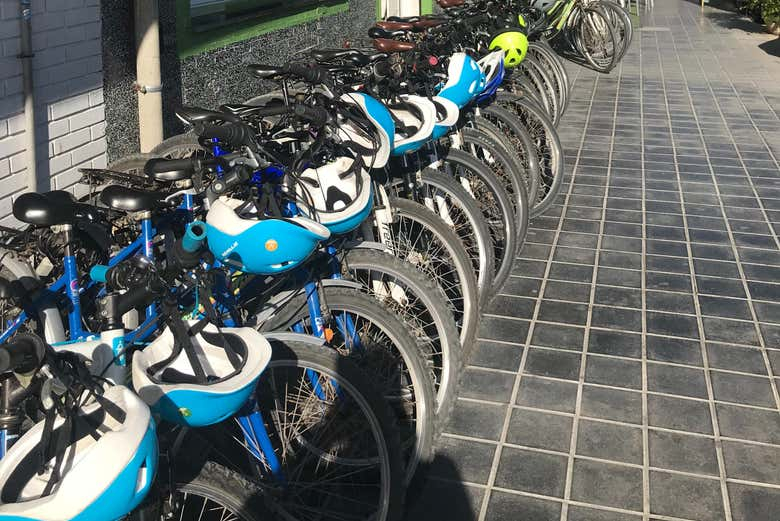 Alquiler de bicicletas en la Albufera