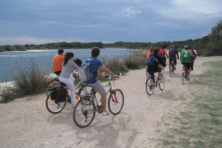 Alquiler de bicicletas en la Albufera + Paseo en barca