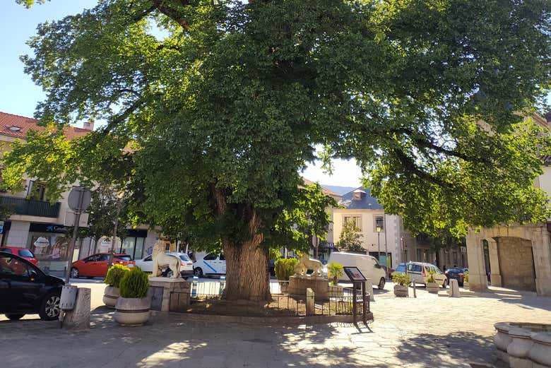 Visita guiada por Guadarrama