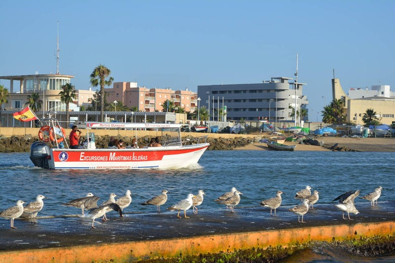 Paseo en barco por Isla Cristina