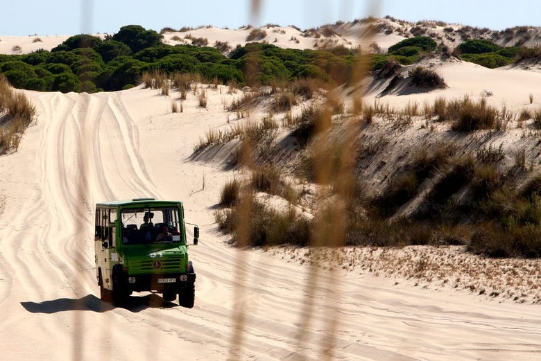 Excursión al Parque Nacional de Doñana