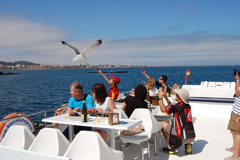 Paseo en barco por la ría + Degustación de mejillones