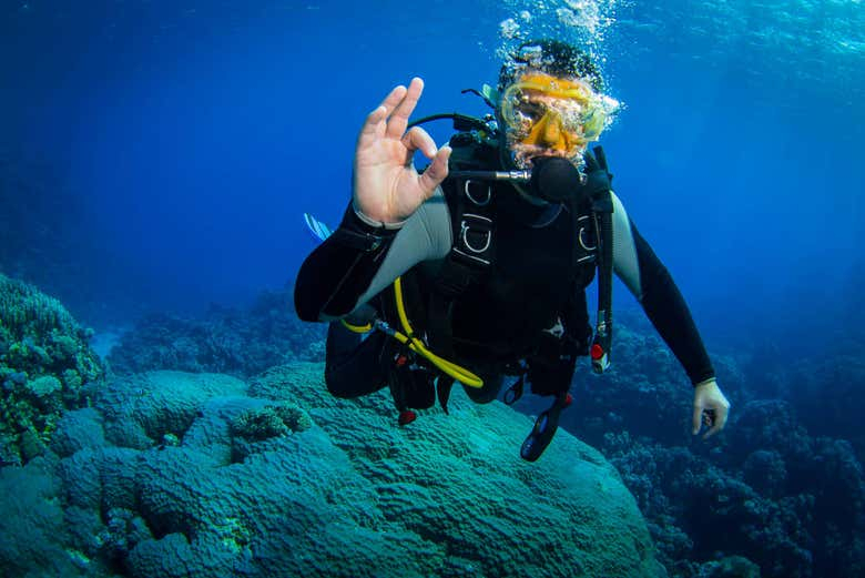 Bautismo de buceo en La Ametlla de Mar