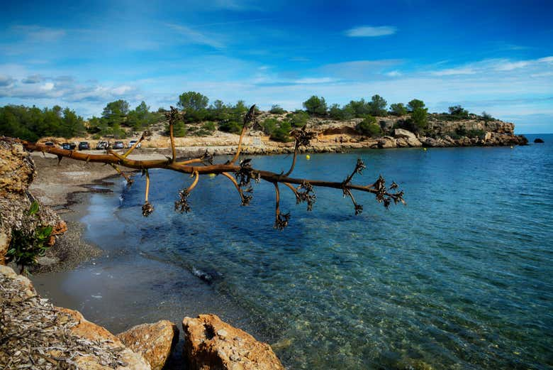 Tour en kayak por La Ametlla de Mar​​​