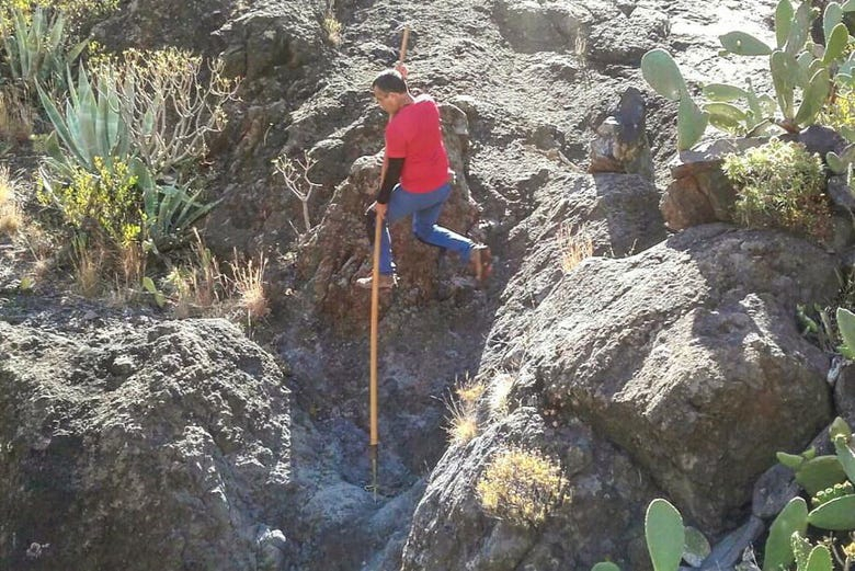 Salto del pastor canario en Valle Gran Rey