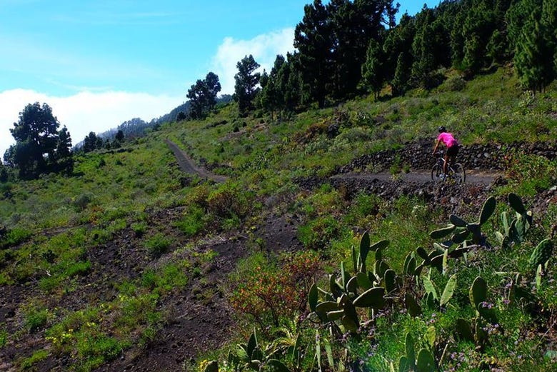 Tour en bicicleta por Fuencaliente