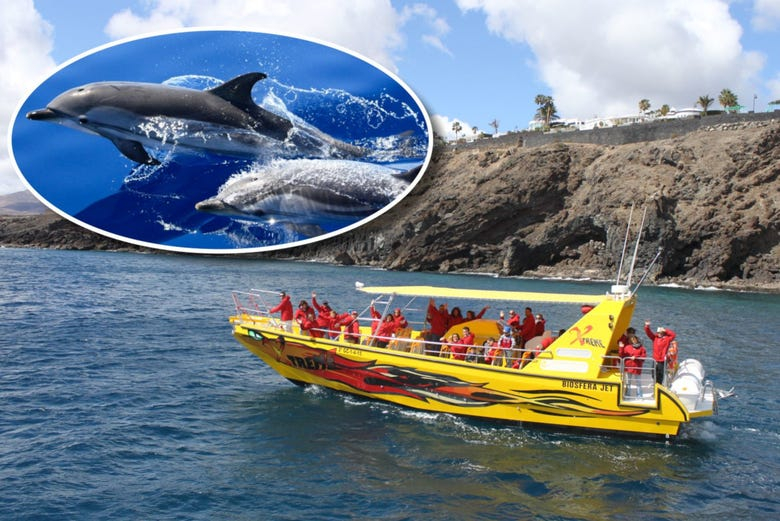 Avistamiento de delfines + Snorkel desde Puerto del Carmen