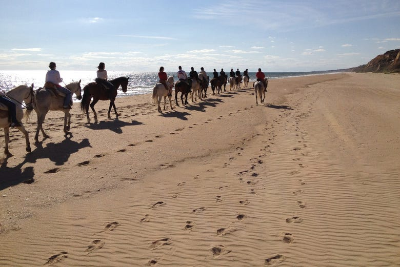 Paseo a caballo por Doñana