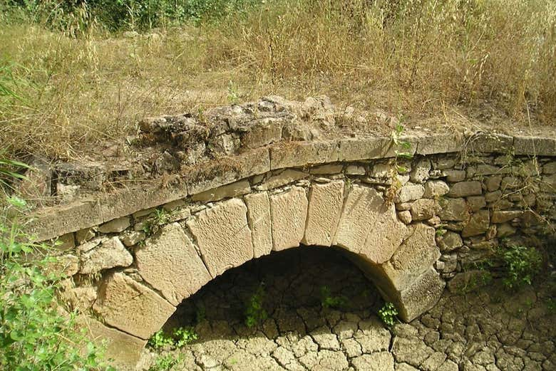 Tour por la Ruta Bética Romana