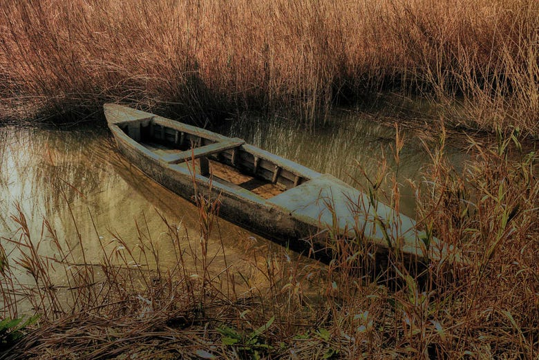 Excursión al Delta del Ebro + Paseo en barco