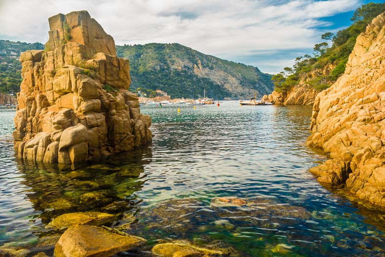 Paseo en catamarán por las islas Medas