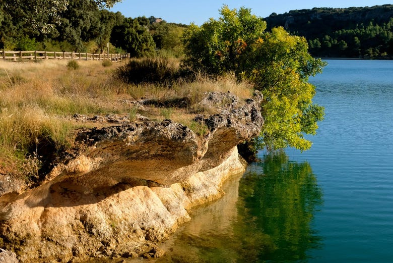 Visita guiada por las Lagunas de Ruidera