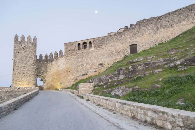 Visita guiada por el Castillo de Sabiote