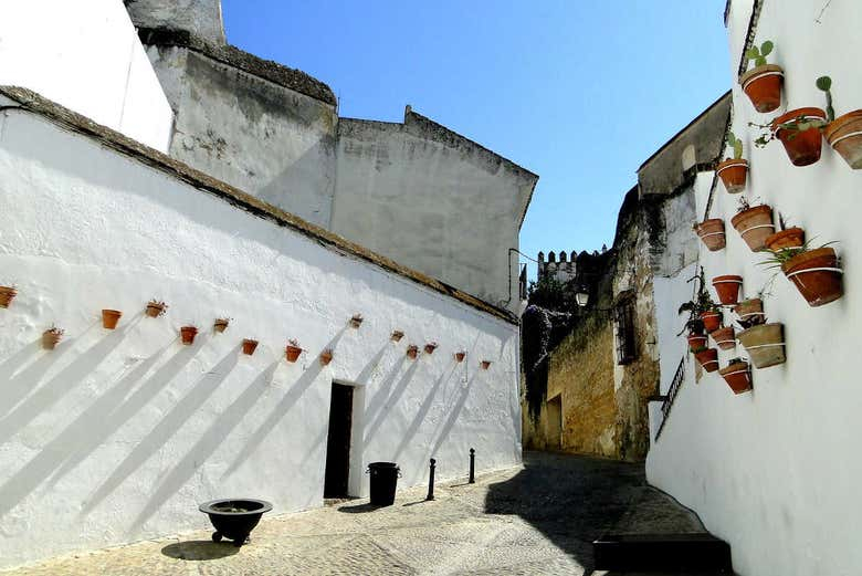 Excursión a los pueblos blancos